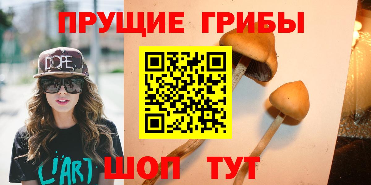 Гатчина  Галлюциногенные грибы Psilocybine cubensis  Вход с VPN 