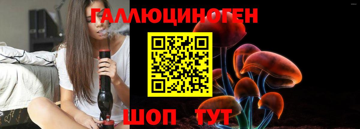 Псилоцибиновые грибы ЛСД Гатчина